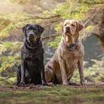 Ersteller:in Jen Profilbild