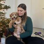 Ersteller:in Alina Profilbild