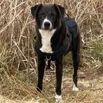 Ersteller:in Christina Profilbild