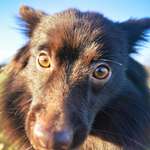 Ersteller:in Maria Profilbild