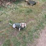 Ersteller:in Vanessa Profilbild