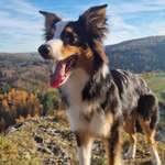 Ersteller:in Britta Profilbild