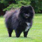 Ersteller:in Anne Profilbild