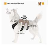 Wandergeschirr in Größe M zu verkaufen-Beitrag-Bild