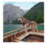 Wandergeschirr in Größe M zu verkaufen-Beitrag-Bild