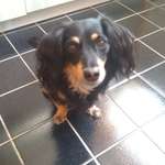 Ersteller:in Bernd Profilbild