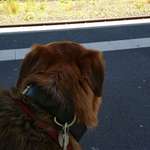 Ersteller:in Nikki Profilbild