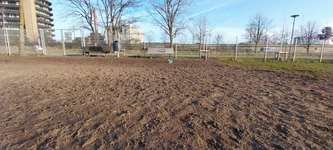 Hundeauslaufgebiet-Hundewiese neben Stephaniebrücke-Bild