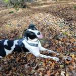 Ersteller:in Jasmin Profilbild