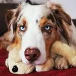 Ersteller:in Elena Profilbild