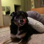 Ersteller:in Sabine Profilbild