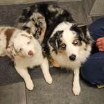 Ersteller:in Carina K. Profilbild