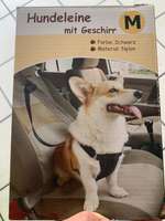 Hunde Autogeschirr-Beitrag-Bild