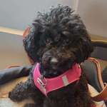 Ersteller:in Caro Profilbild