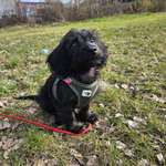 Ersteller:in Michael & Jasmin Profilbild