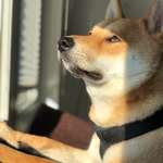 Ersteller:in Julia Profilbild