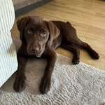 Ersteller:in Henrik Profilbild