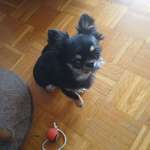 Ersteller:in Sonja Profilbild