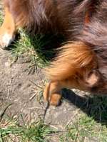 Wirbel / Matte Stelle am Ellenbogen...-Beitrag-Bild