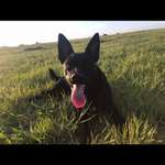 Ersteller:in Koko Profilbild