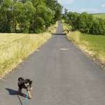 Ersteller:in Nadja Profilbild