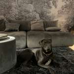 Ersteller:in Katja Profilbild