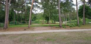 Hundeauslaufgebiet-Freilauffläche Meppen-Bild