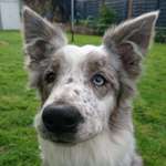 Ersteller:in Melanie Profilbild