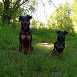 Ersteller:in Susanne Profilbild