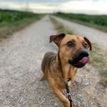 Ersteller:in Silke Profilbild