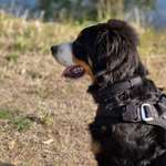 Ersteller:in Jessy Profilbild