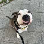 Ersteller:in Sarah Profilbild