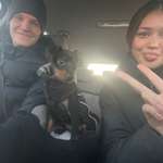 Ersteller:in Angila Profilbild