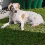 Ersteller:in Kerstin Profilbild