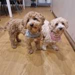 Ersteller:in Claudia Profilbild