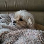 Ersteller:in Katja Profilbild