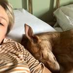 Ersteller:in Eileen Profilbild