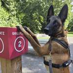 Ersteller:in Jul Profilbild