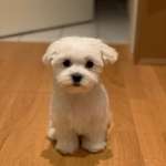 Ersteller:in S Profilbild