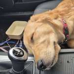 Ersteller:in Steffen Profilbild