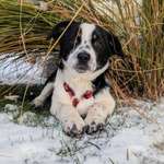 Ersteller:in Tina Profilbild