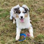 Ersteller:in Frauke Profilbild