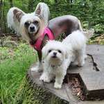 Ersteller:in Ela Profilbild