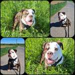 Ersteller:in Milvia Profilbild