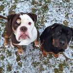 Ersteller:in Milvia Profilbild