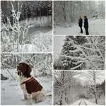 Ersteller:in Katrin Profilbild