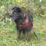 Ersteller:in Sandra Profilbild