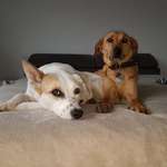 Ersteller:in Tobi und Tanja M. Profilbild