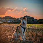 Ersteller:in Louisa Profilbild