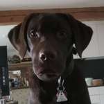 Ersteller:in Sebastian Profilbild